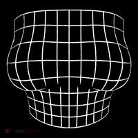 Magnified Chest Optical Illusion Grid Big Boobs Ornament thumb 1