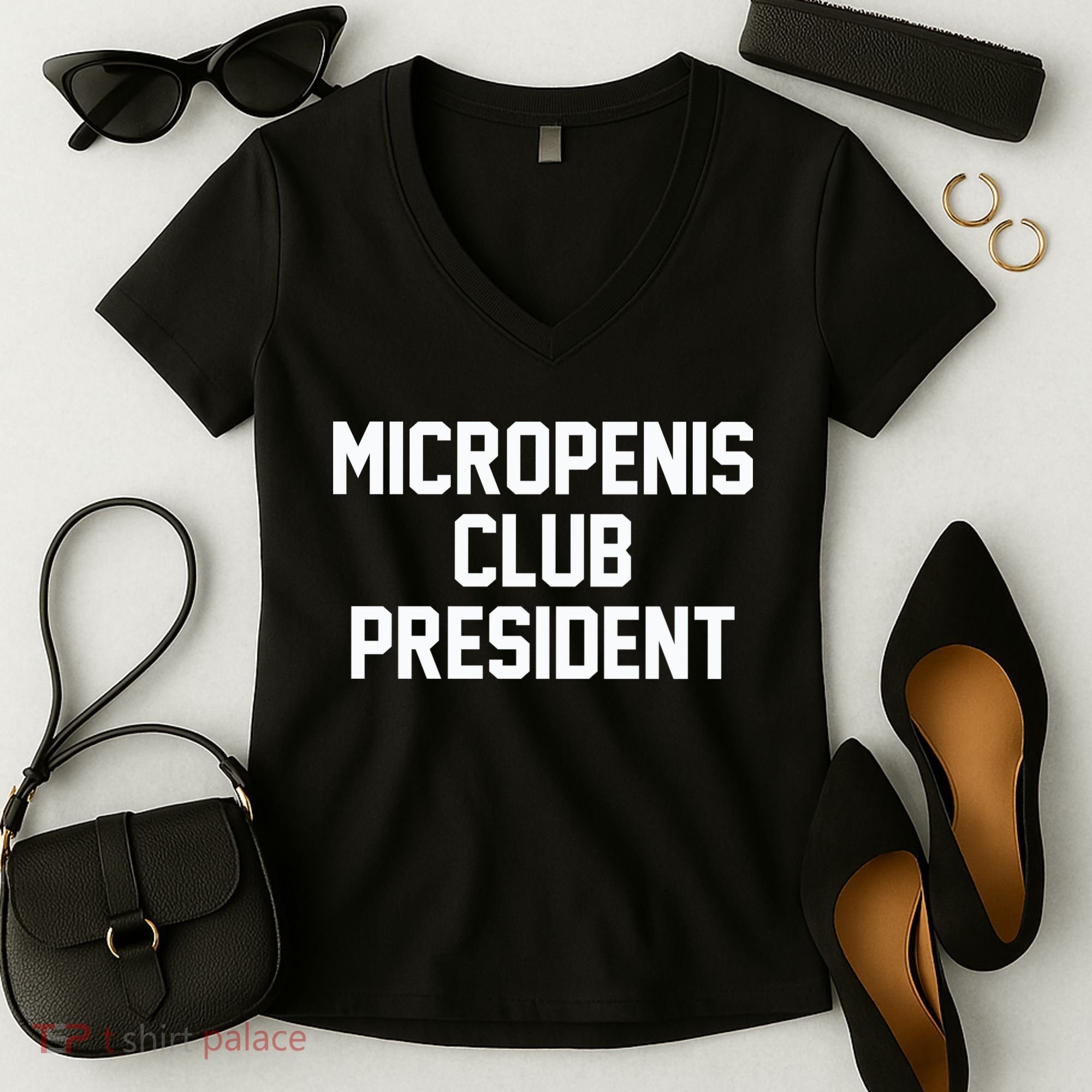 Micropenis Club President Funny Saying Sarcastic Guys Women's V-Neck T-Shirt