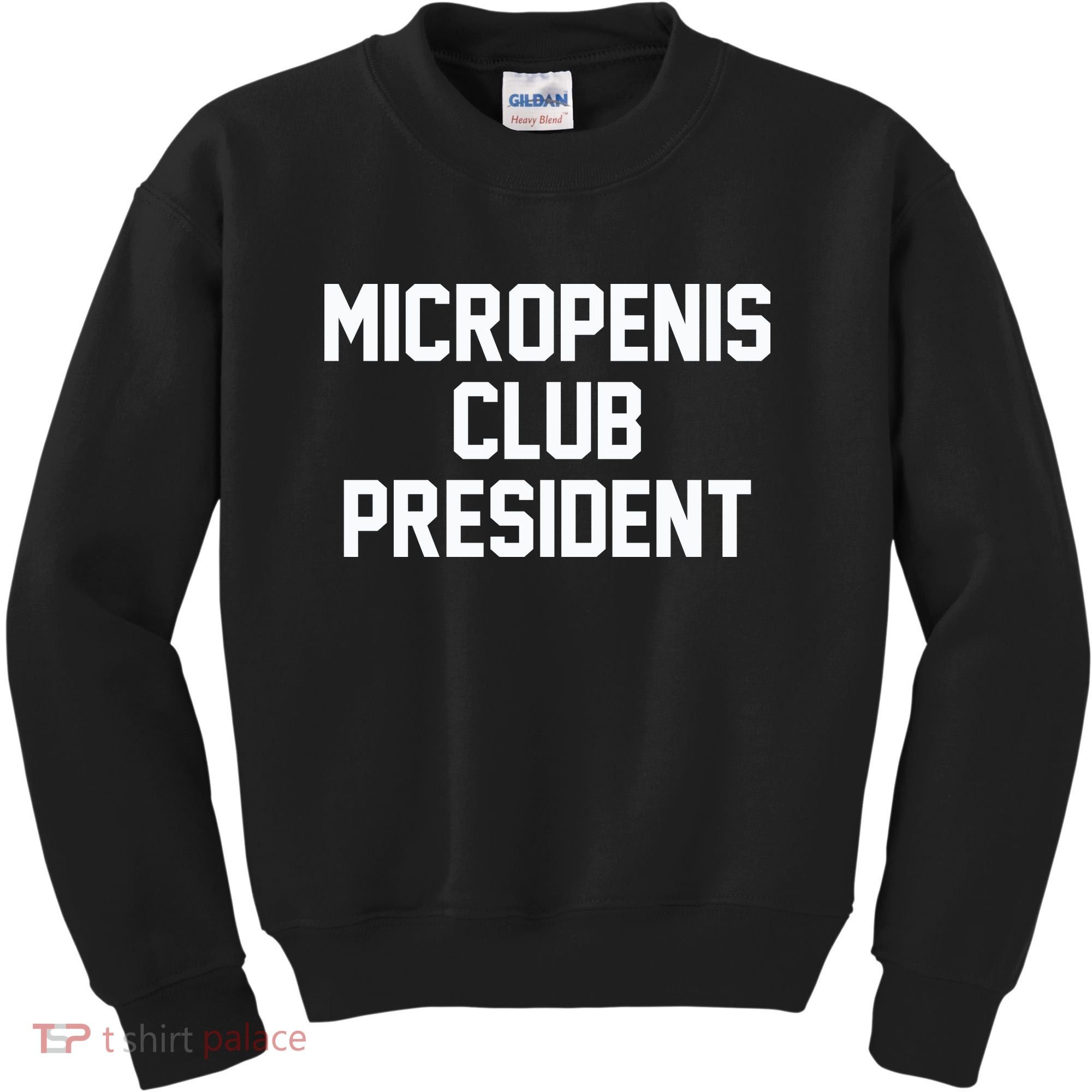 Micropenis Club President Funny Saying Sarcastic Guys Kids Sweatshirt