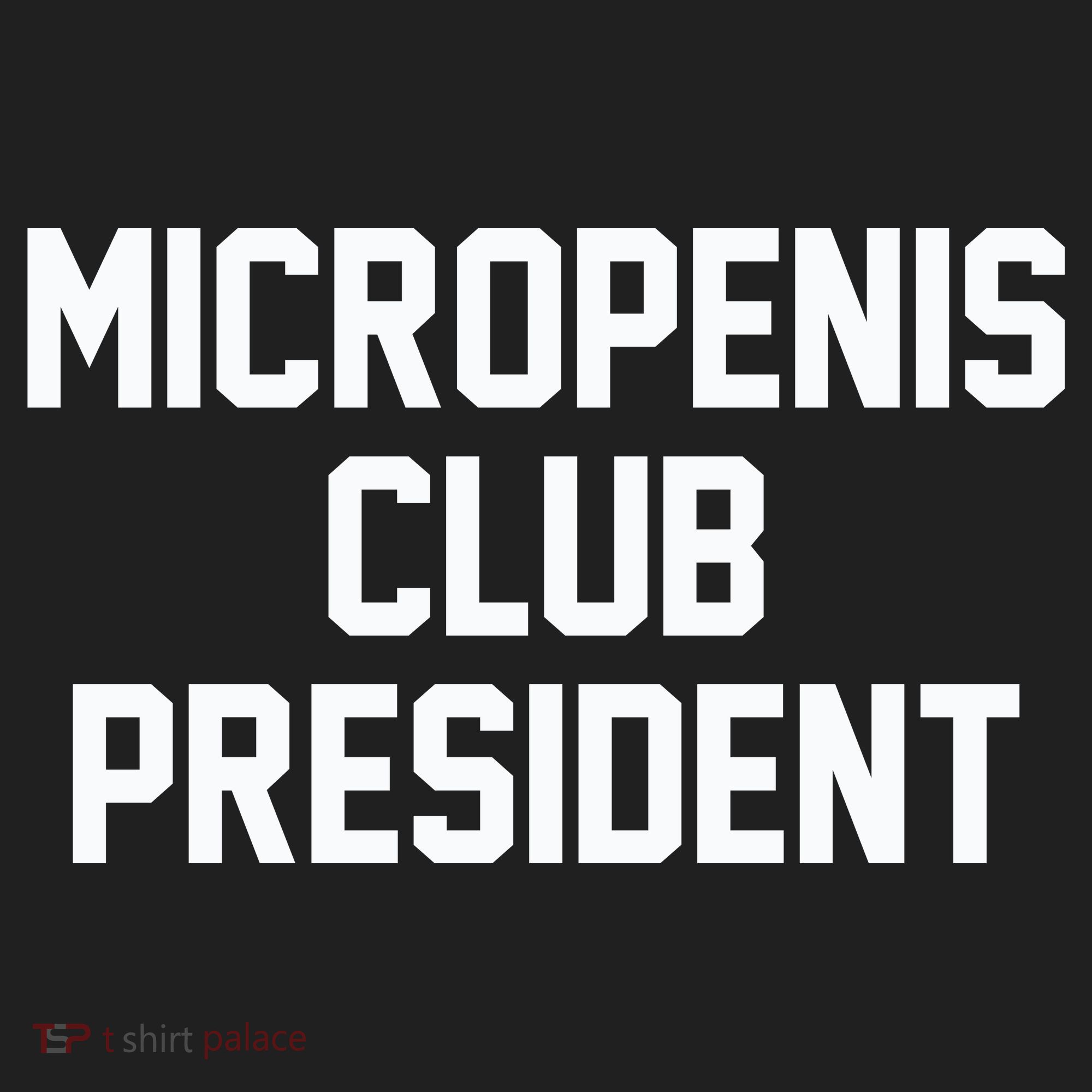 Micropenis Club President Funny Saying Sarcastic Guys Kids Long Sleeve Plaid Pajama Set