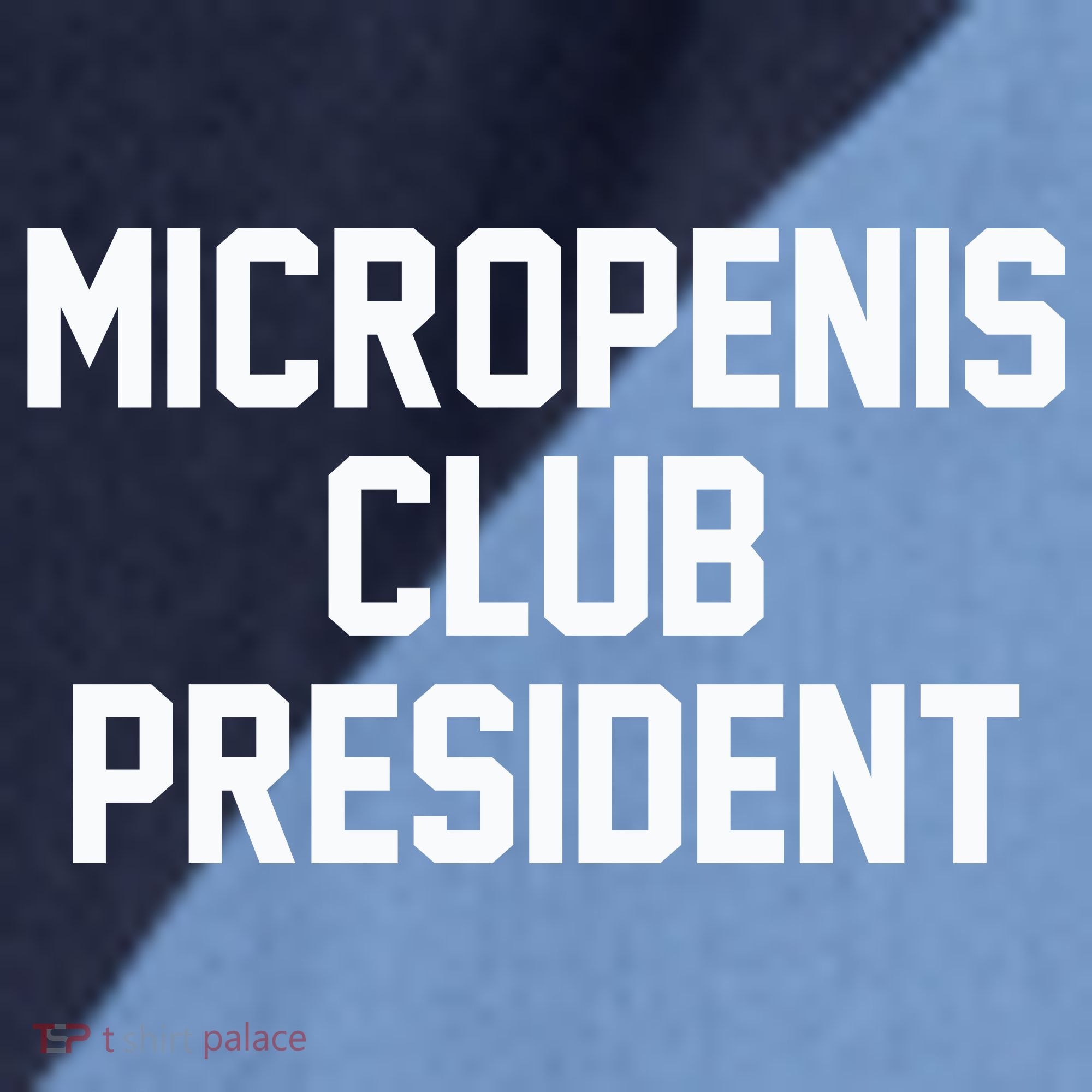Micropenis Club President Funny Saying Sarcastic Guys Raglan Baseball Sleeve Shirt