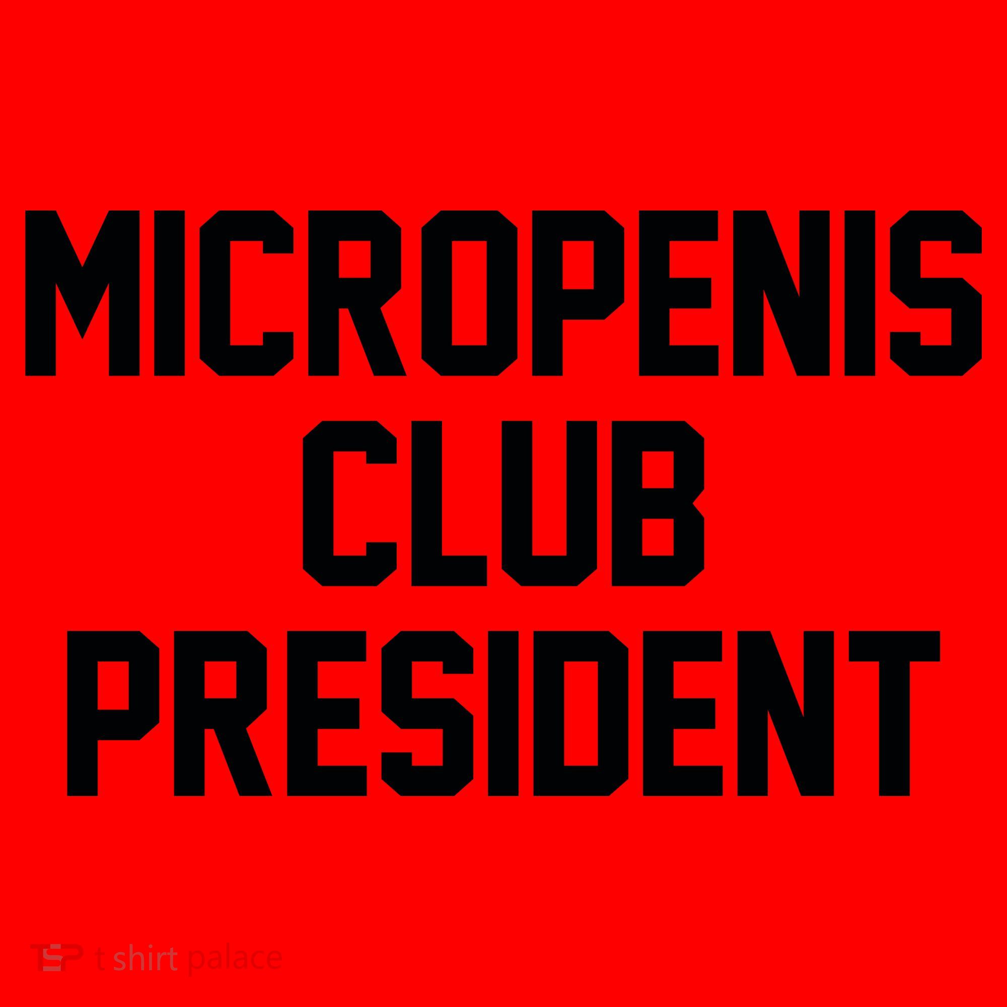 Micropenis Club President Funny Saying Sarcastic Guys Santa Hat
