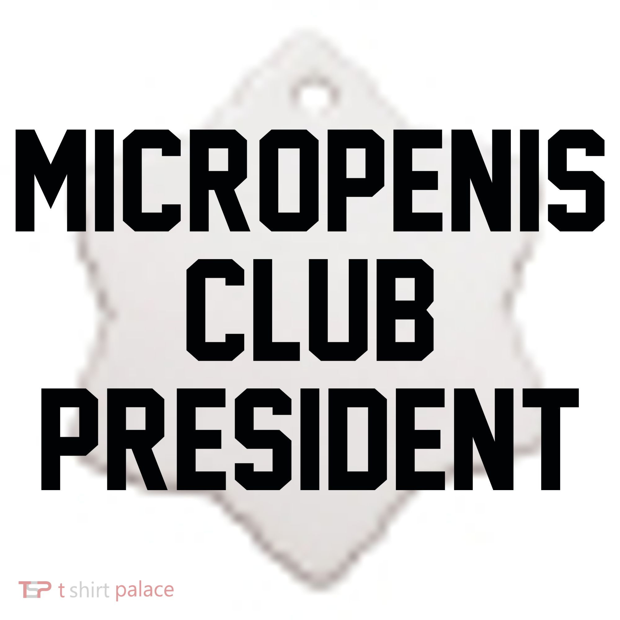 Micropenis Club President Funny Saying Sarcastic Guys Ceramic Ornament
