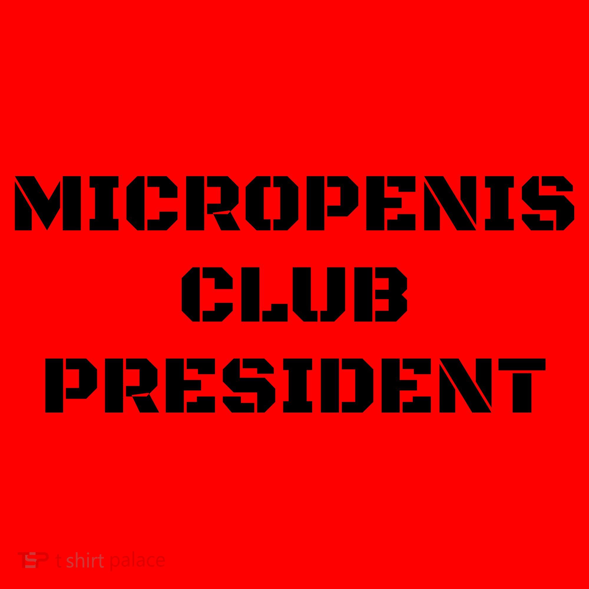 Micropenis Club President Funny Saying Sarcastic Santa Hat