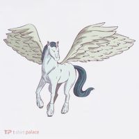Mythical Creature Pegasus Women's T-Shirt thumb 6
