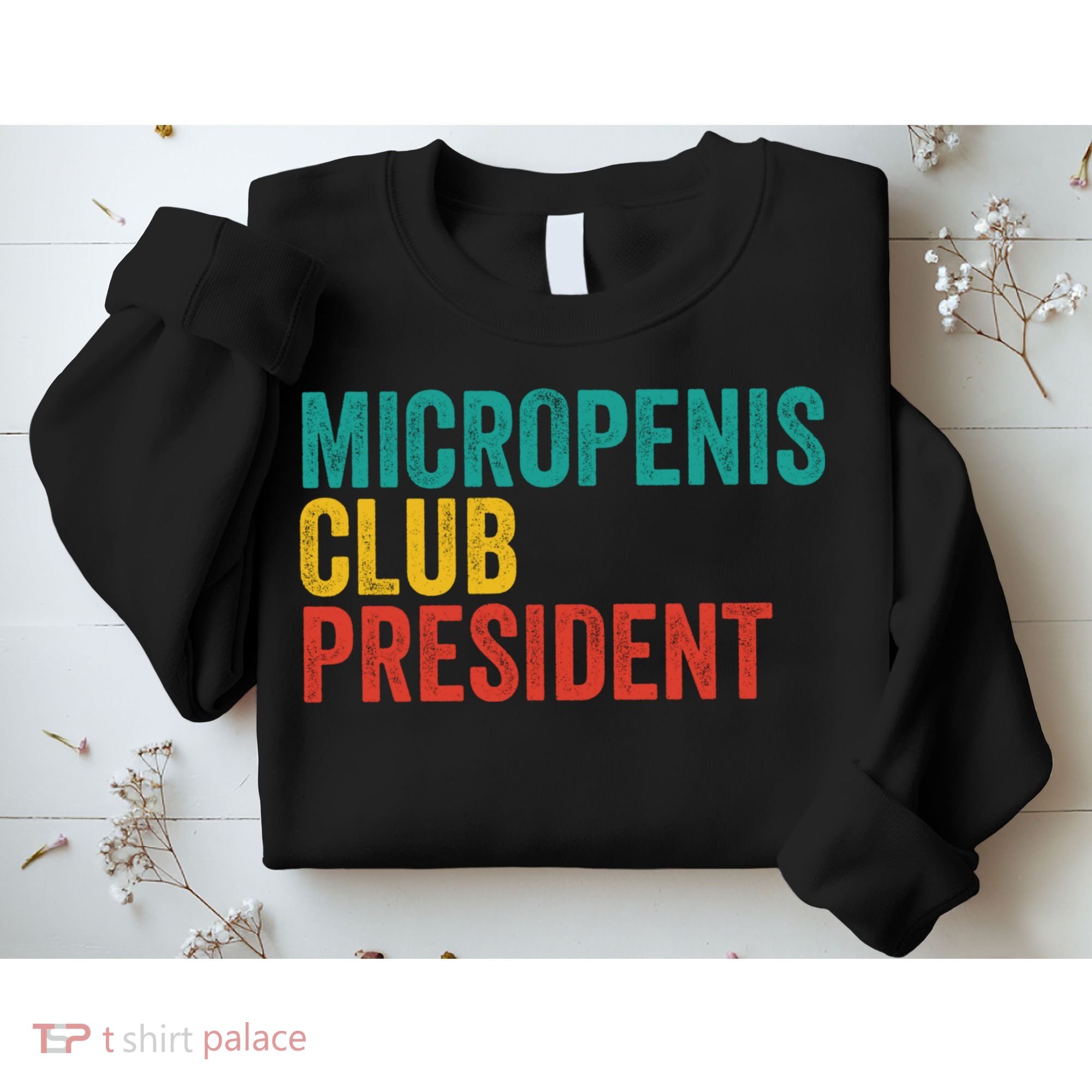Micropenis Club President Funny Meme Sarcastic Stupid Cringe Sweatshirt