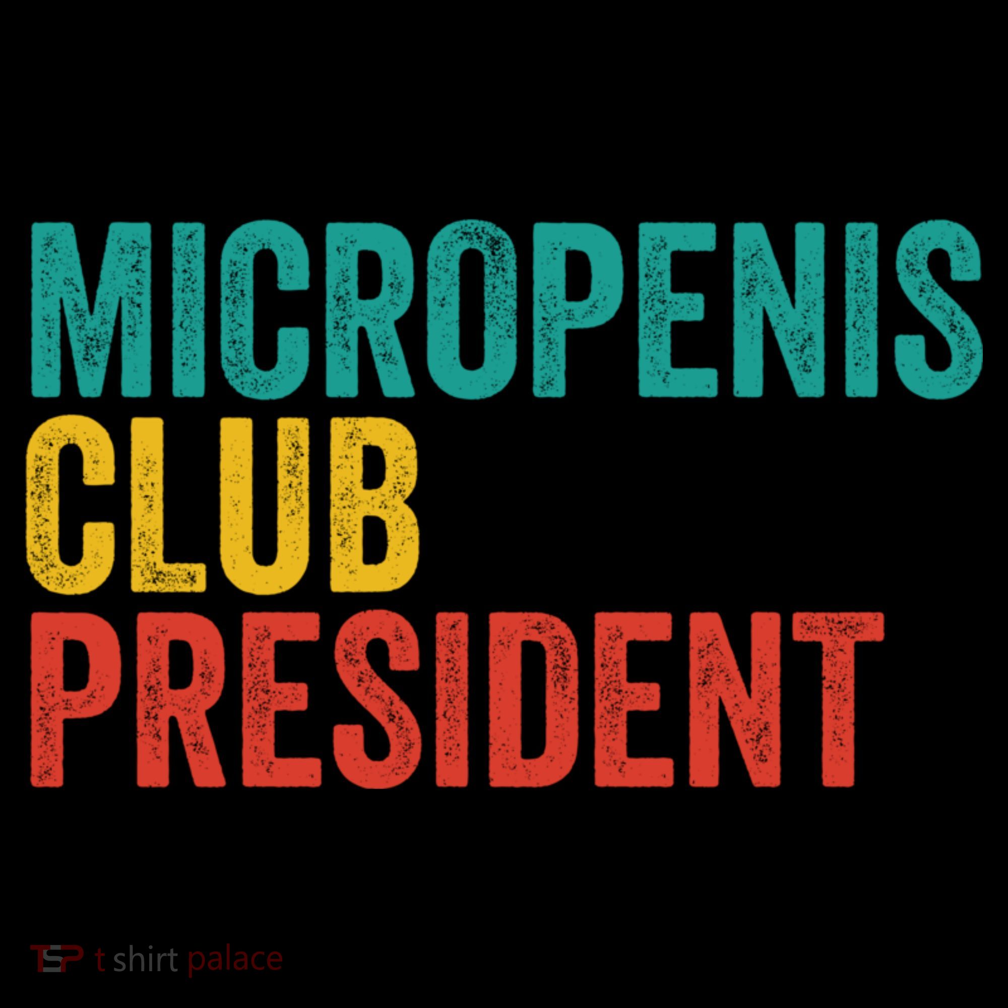 Micropenis Club President Funny Meme Sarcastic Stupid Cringe Women's Hoodie