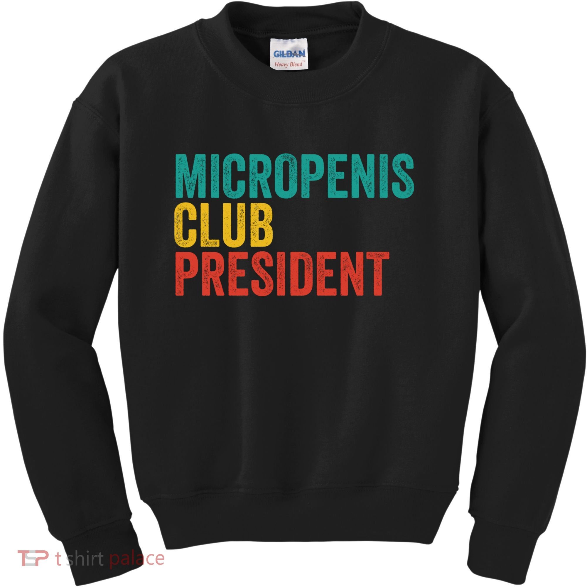 Micropenis Club President Funny Meme Sarcastic Stupid Cringe Kids Sweatshirt