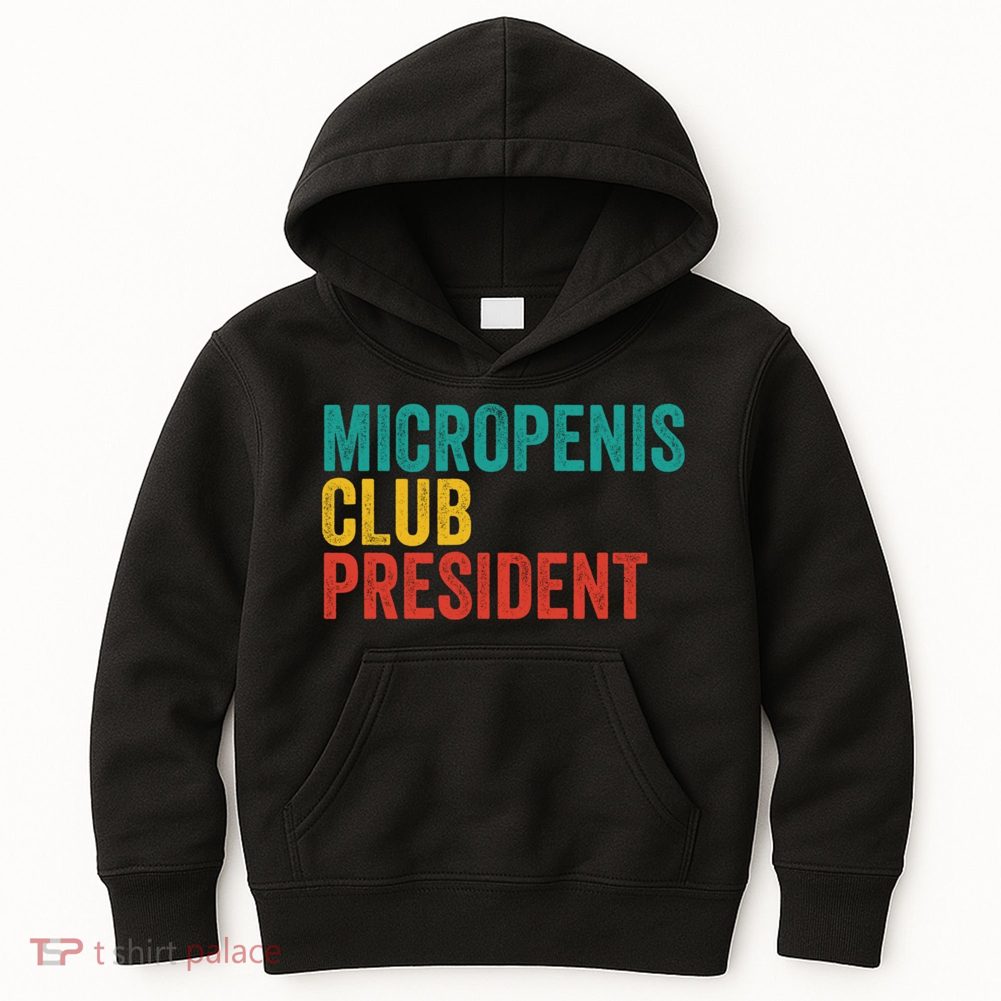 Micropenis Club President Funny Meme Sarcastic Stupid Cringe Kids Hoodie