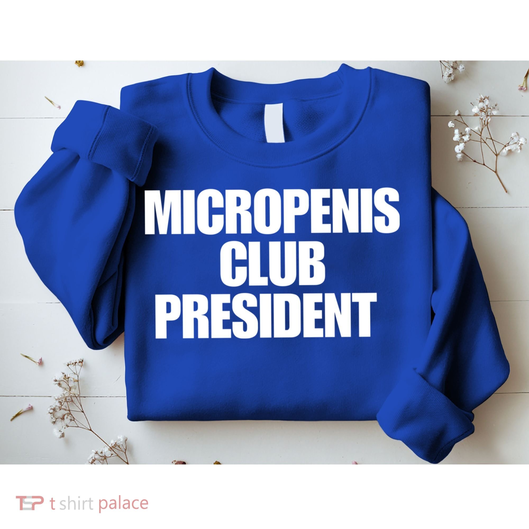 Micropenis Club President Funny Meme Sarcastic Stupid Cringe Sweatshirt