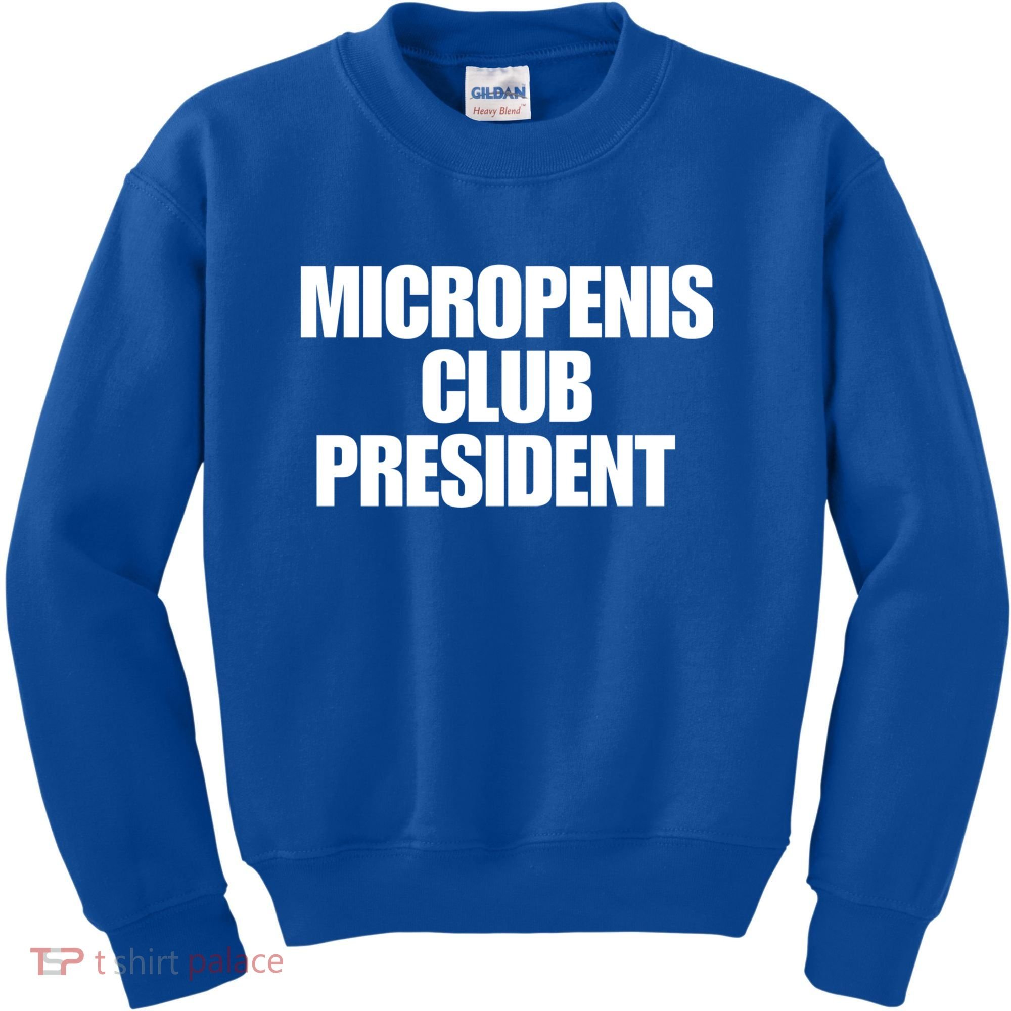 Micropenis Club President Funny Meme Sarcastic Stupid Cringe Kids Sweatshirt