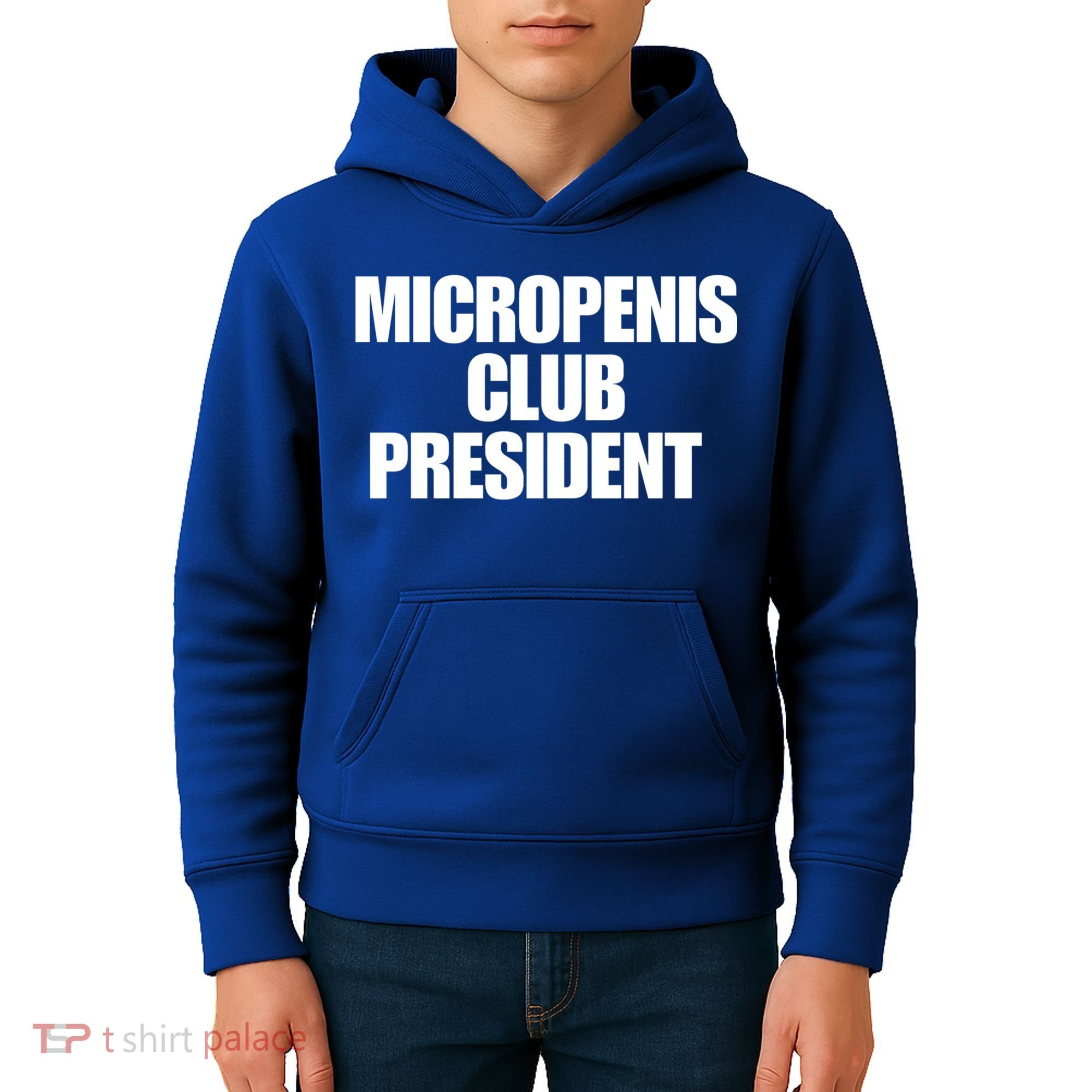 Micropenis Club President Funny Meme Sarcastic Stupid Cringe Kids Hoodie