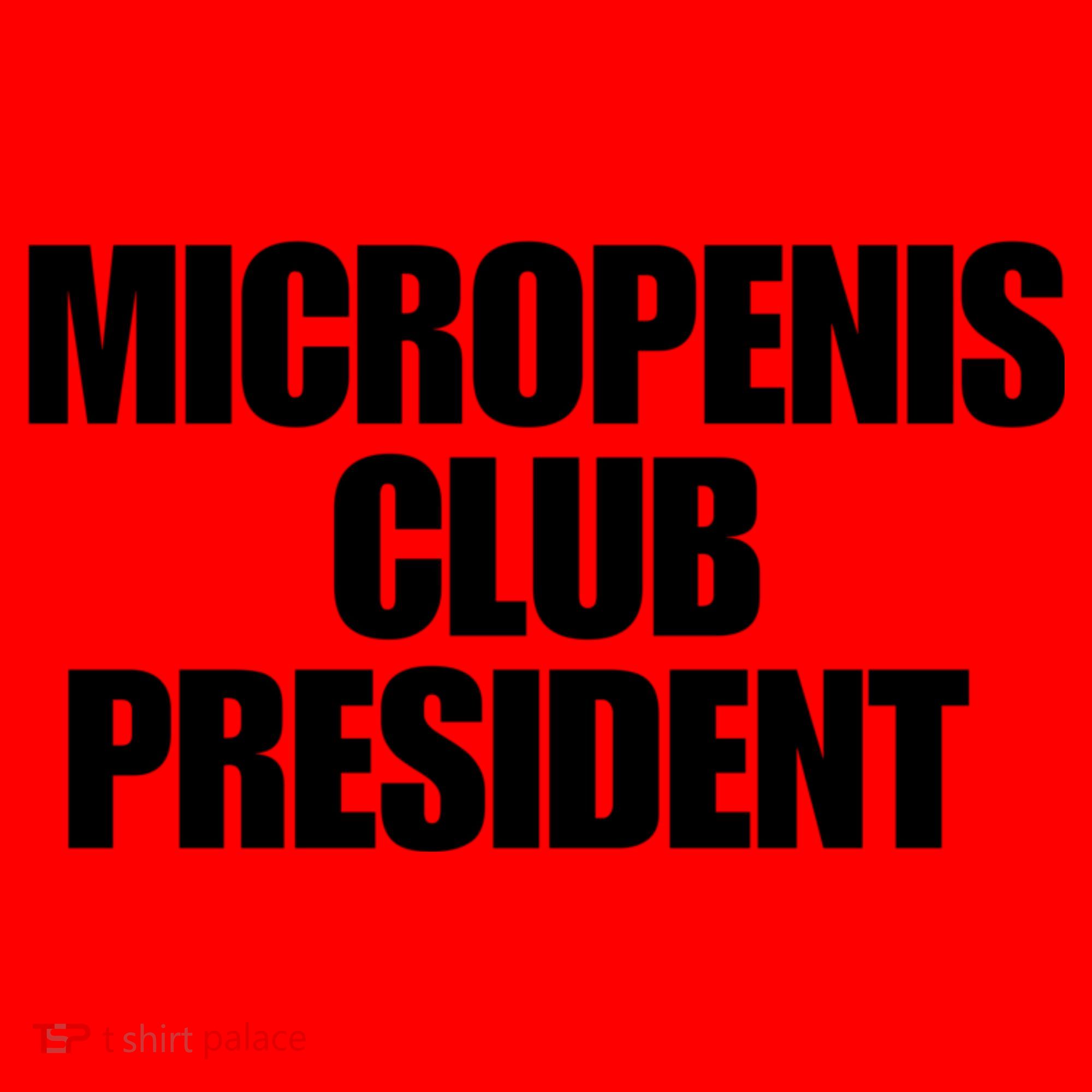 Micropenis Club President Funny Meme Sarcastic Stupid Cringe Santa Hat
