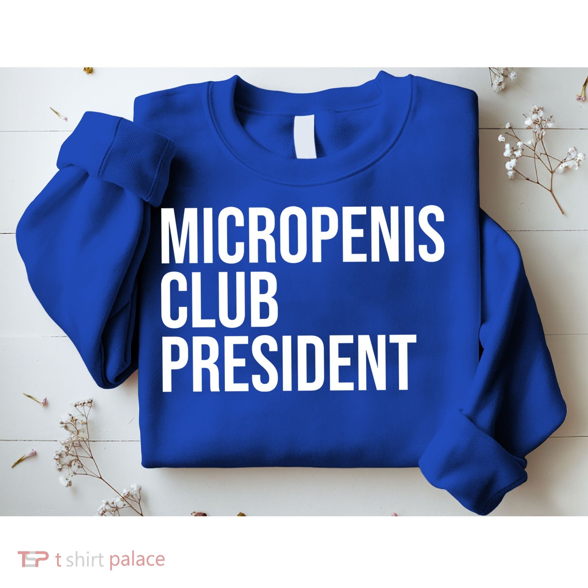Micropenis Club President Funny Meme Sarcastic Stupid Cringe Sweatshirt