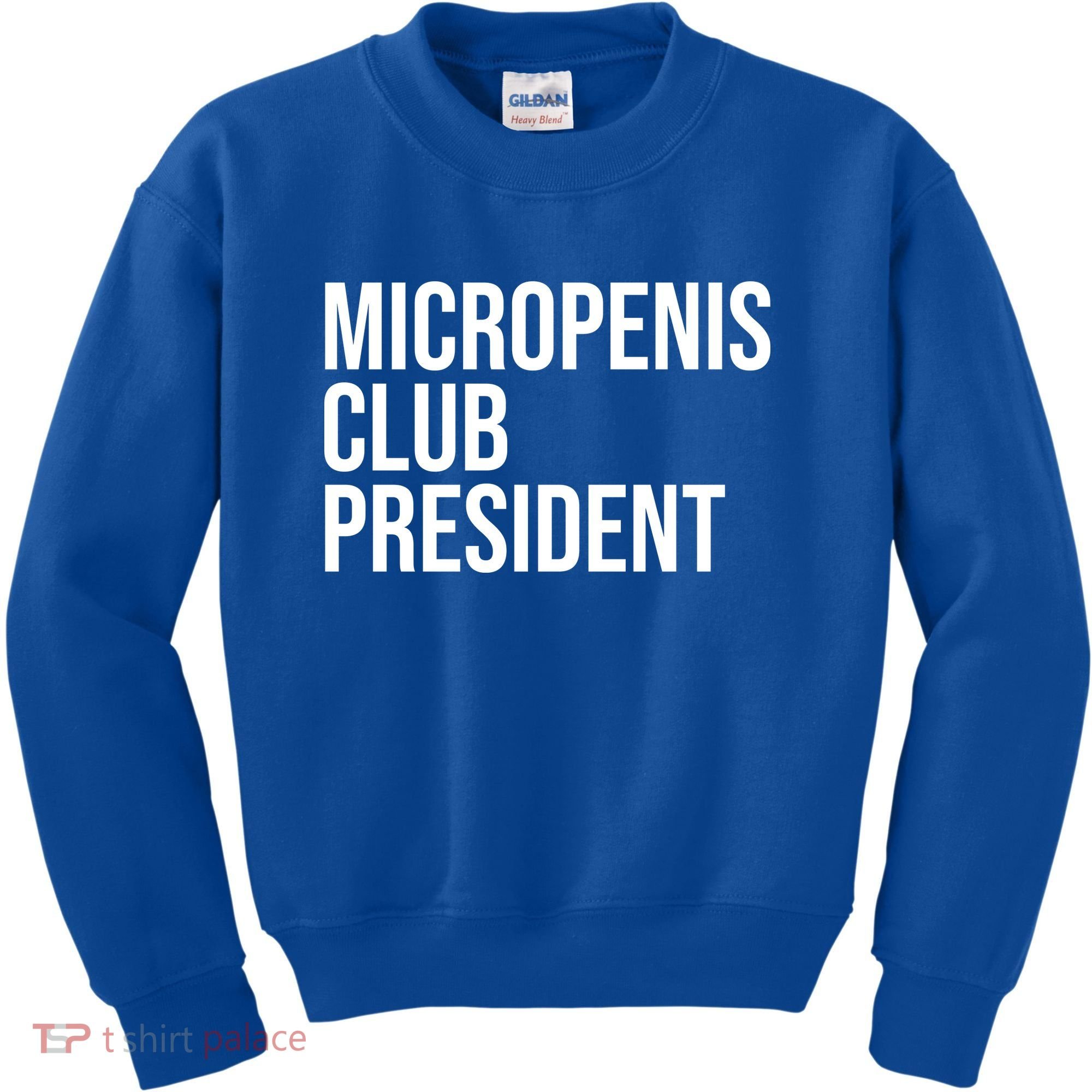 Micropenis Club President Funny Meme Sarcastic Stupid Cringe Kids Sweatshirt