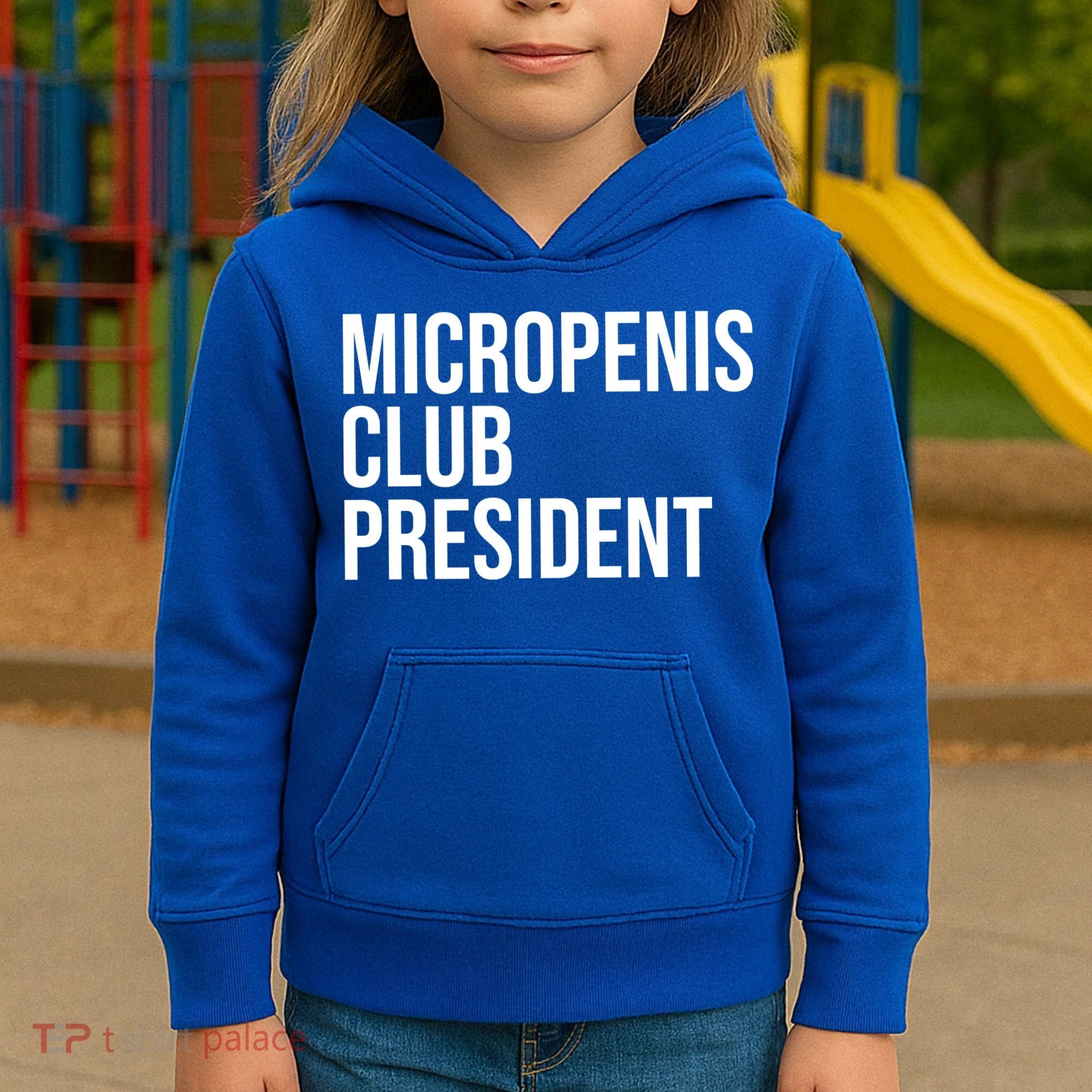 Micropenis Club President Funny Meme Sarcastic Stupid Cringe Kids Hoodie