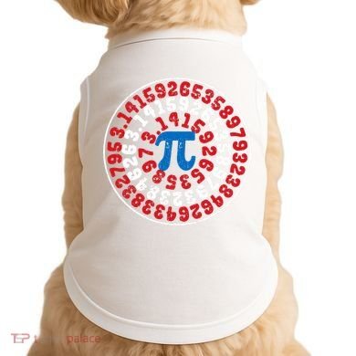 Mathematician Captain Pi Superhero Math Nerd Geek Pi Day Doggie Tank