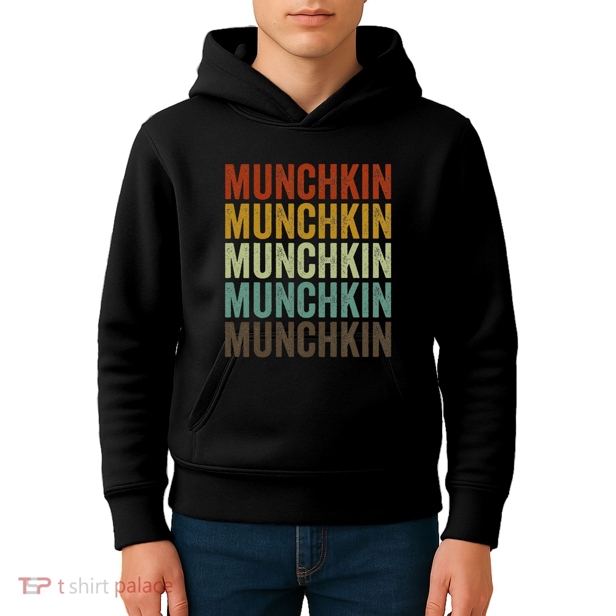 Munchkin Cat Retro Kids Hoodie