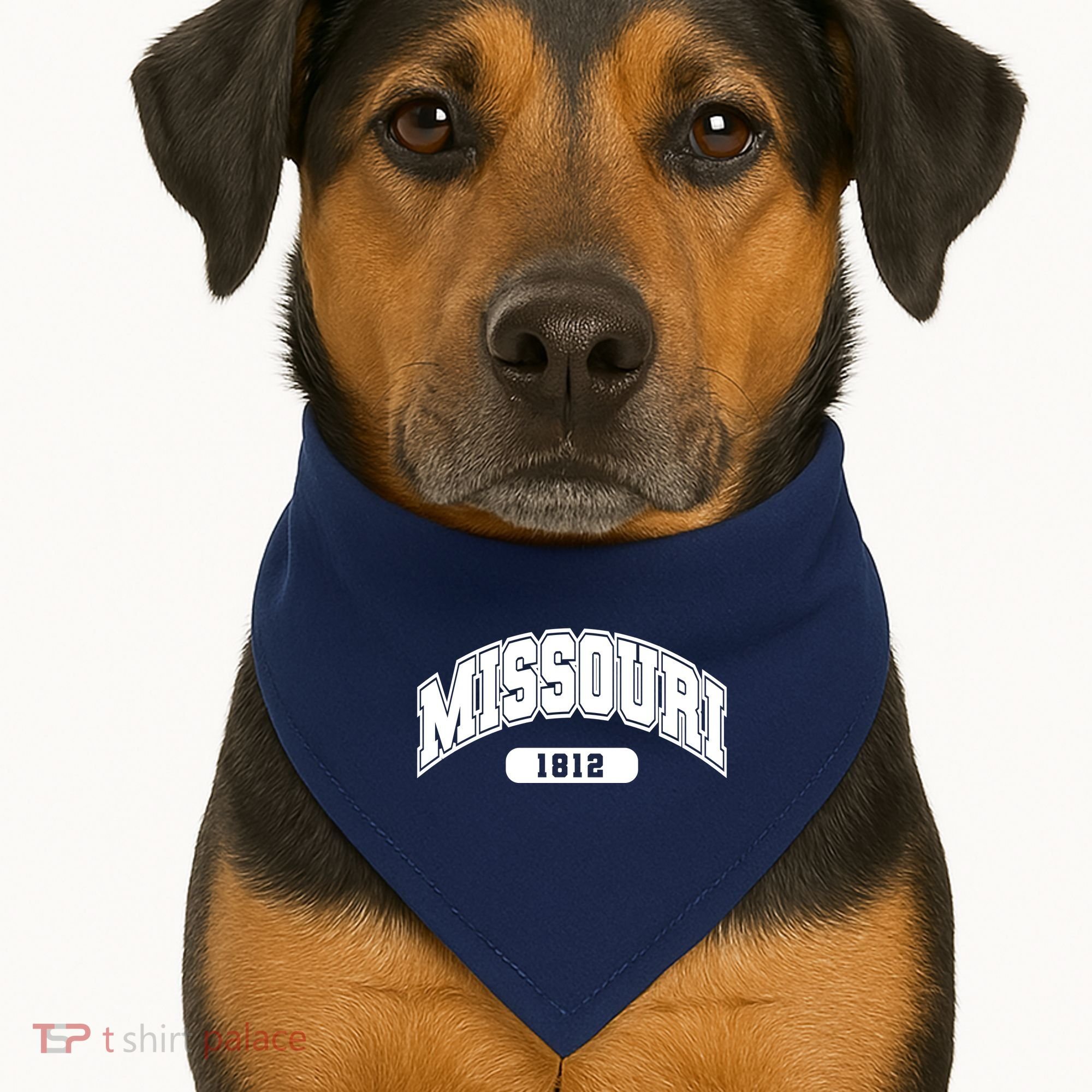 Missouri Collegiate Style 1812 USA-Made Doggie Bandana