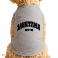 Montana Collegiate Style 1889 Doggie Tank thumb 0