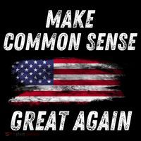 Make Common Sense Great Again Funny Saying Trending Gift Women's Hoodie thumb 2