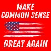 Make Common Sense Great Again Funny Saying Trending Gift Santa Hat thumb 1