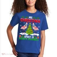 My Christmas Spirit Is Roseate Spoonbill Wearing Santa Hat Gift Kids T-Shirt thumb 2