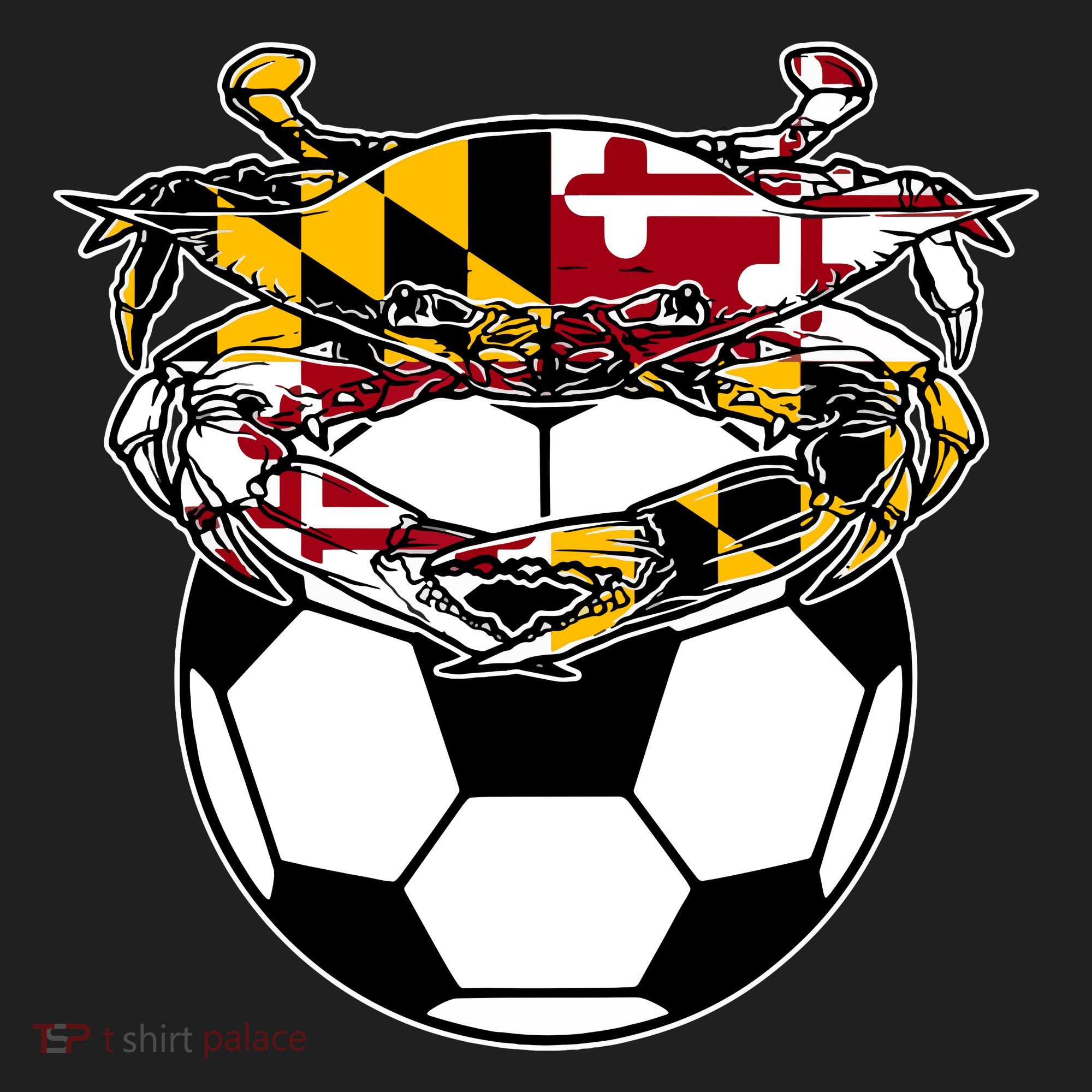 Maryland Crab State Pride Flag Gift Soccer Blue Crab Beanie