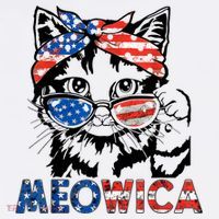 Meowica Cat Sunglasses American Flag 4th Of July Merica Usa Women's Hoodie thumb 2