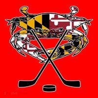 Maryland Crab State Pride Flag Gift Ice Hockey And Blue Crab Gift Santa Hat thumb 1