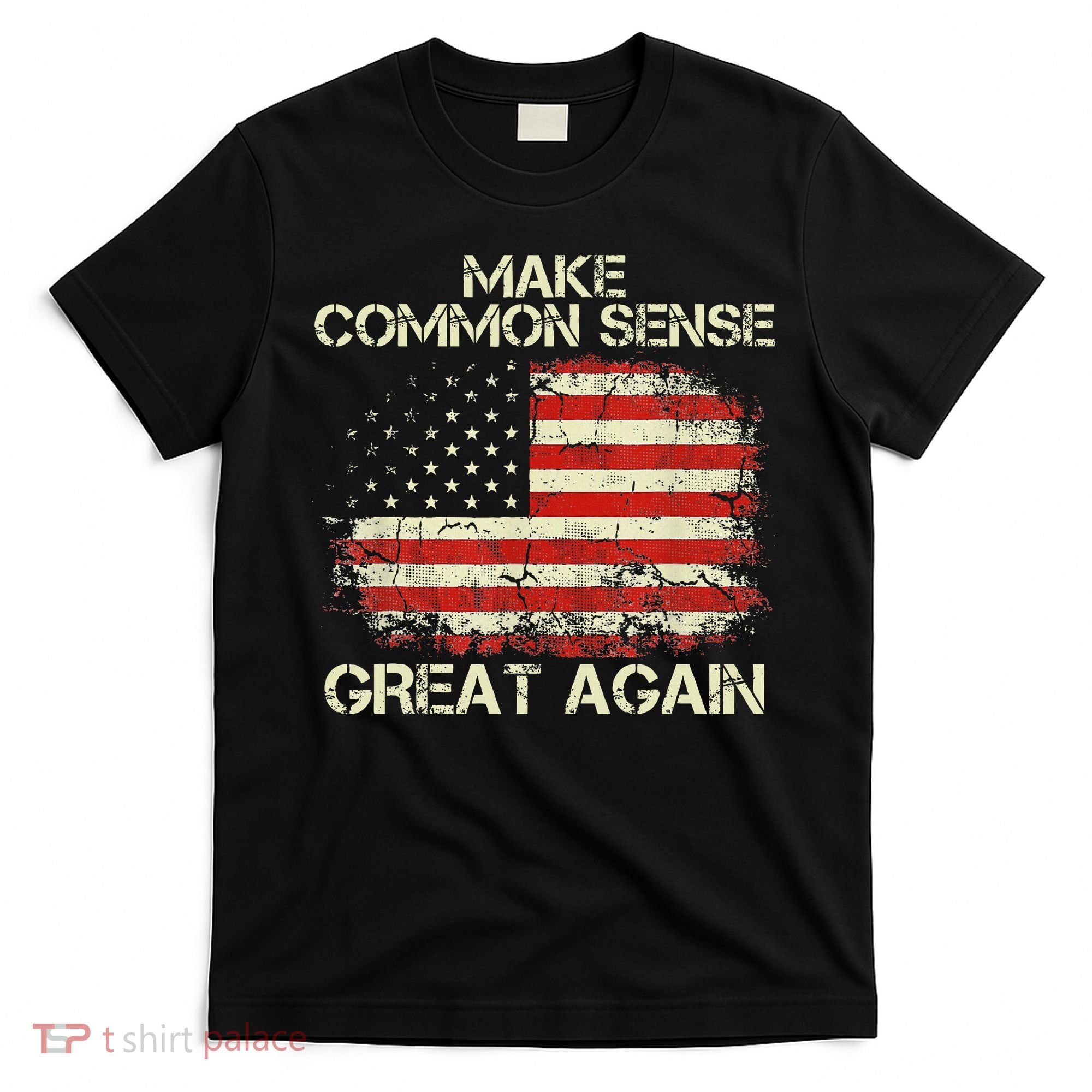 Make Common Sense Great Again Funny Humor Vintage Usa Flag T-Shirt
