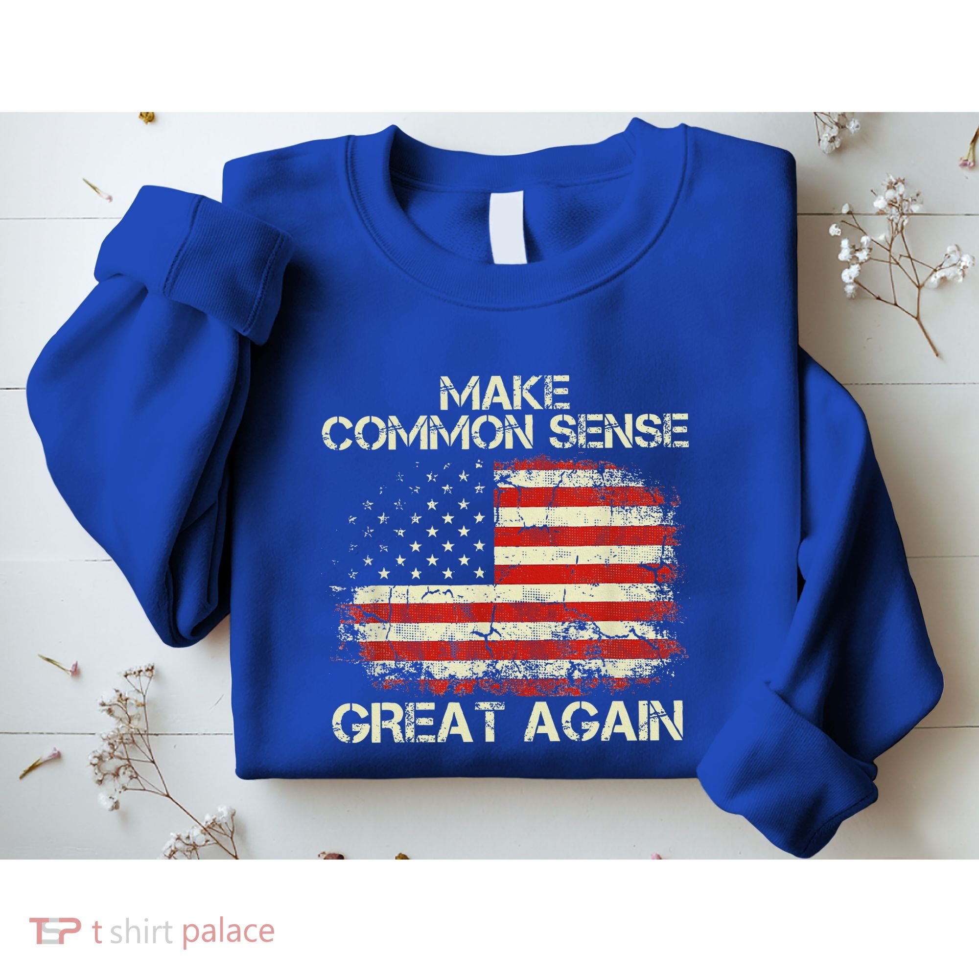 Make Common Sense Great Again Sweatshirt