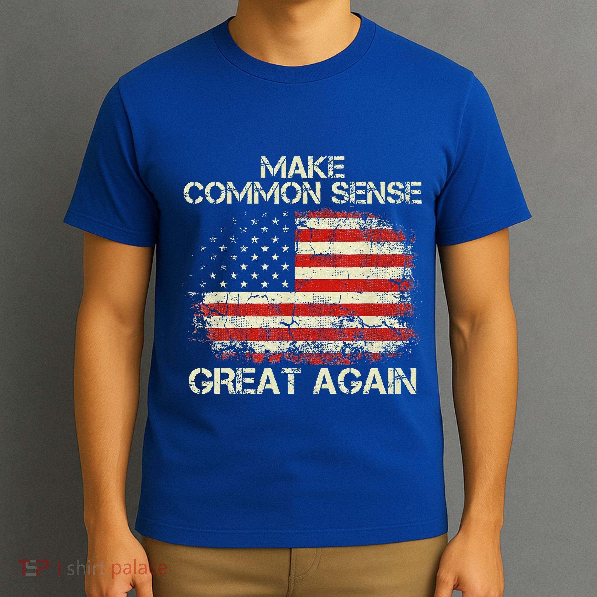 Make Common Sense Great Again T-Shirt