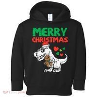 Merry Christmas Trex Dino Pajamas Toddler Hoodie thumb 0