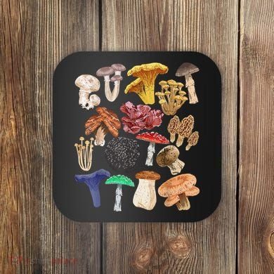 Mushroom Classification Types Mycology For Shroom Hunter Coaster