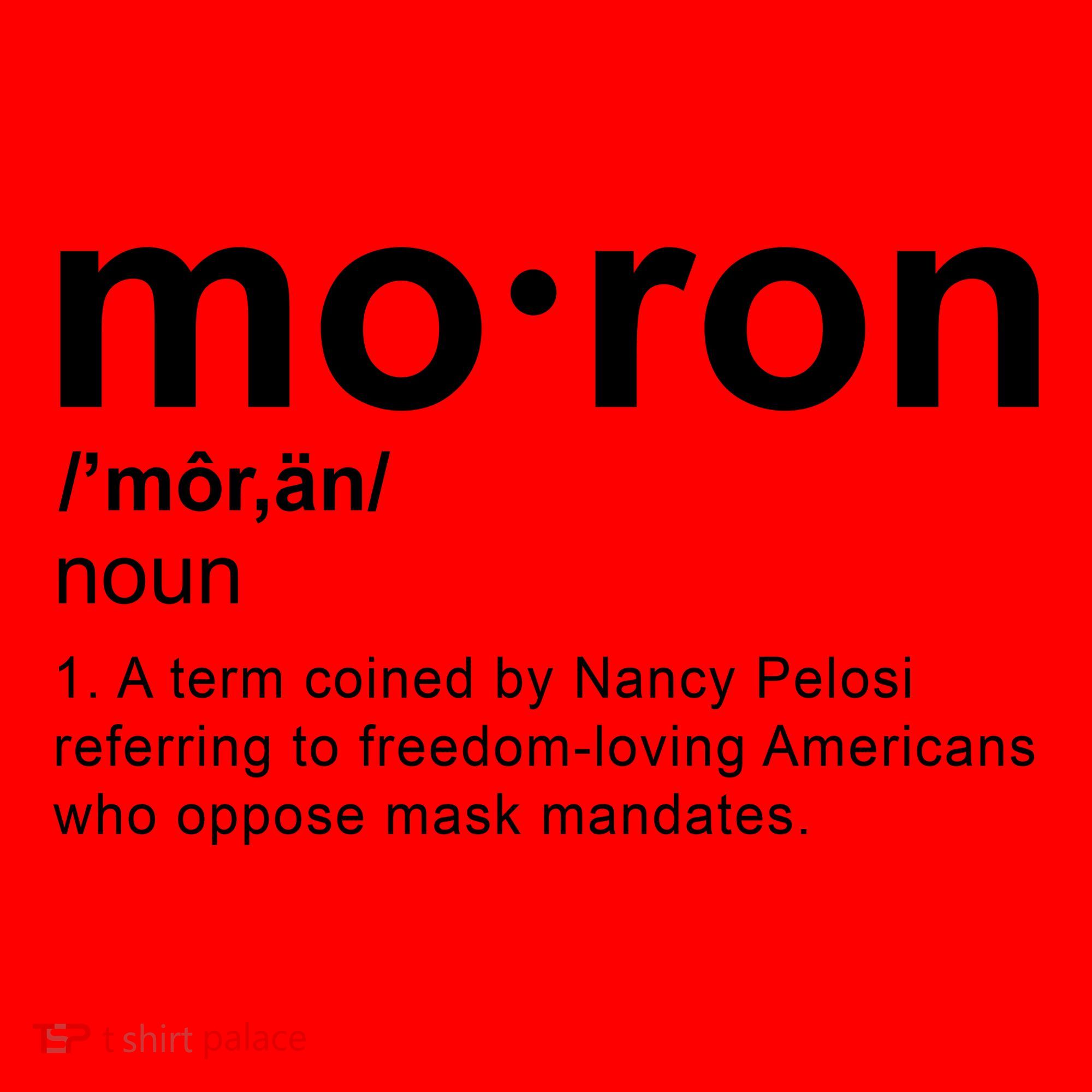 Moron Definition Anti Nancy Pelosi Funny Republican Santa Hat