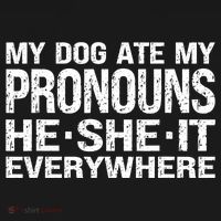 My Dog Ate My Pronouns He She It Everywhere Funny Meme Women's Hoodie thumb 2