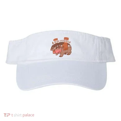 Visor
