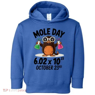 Toddler Hoodie