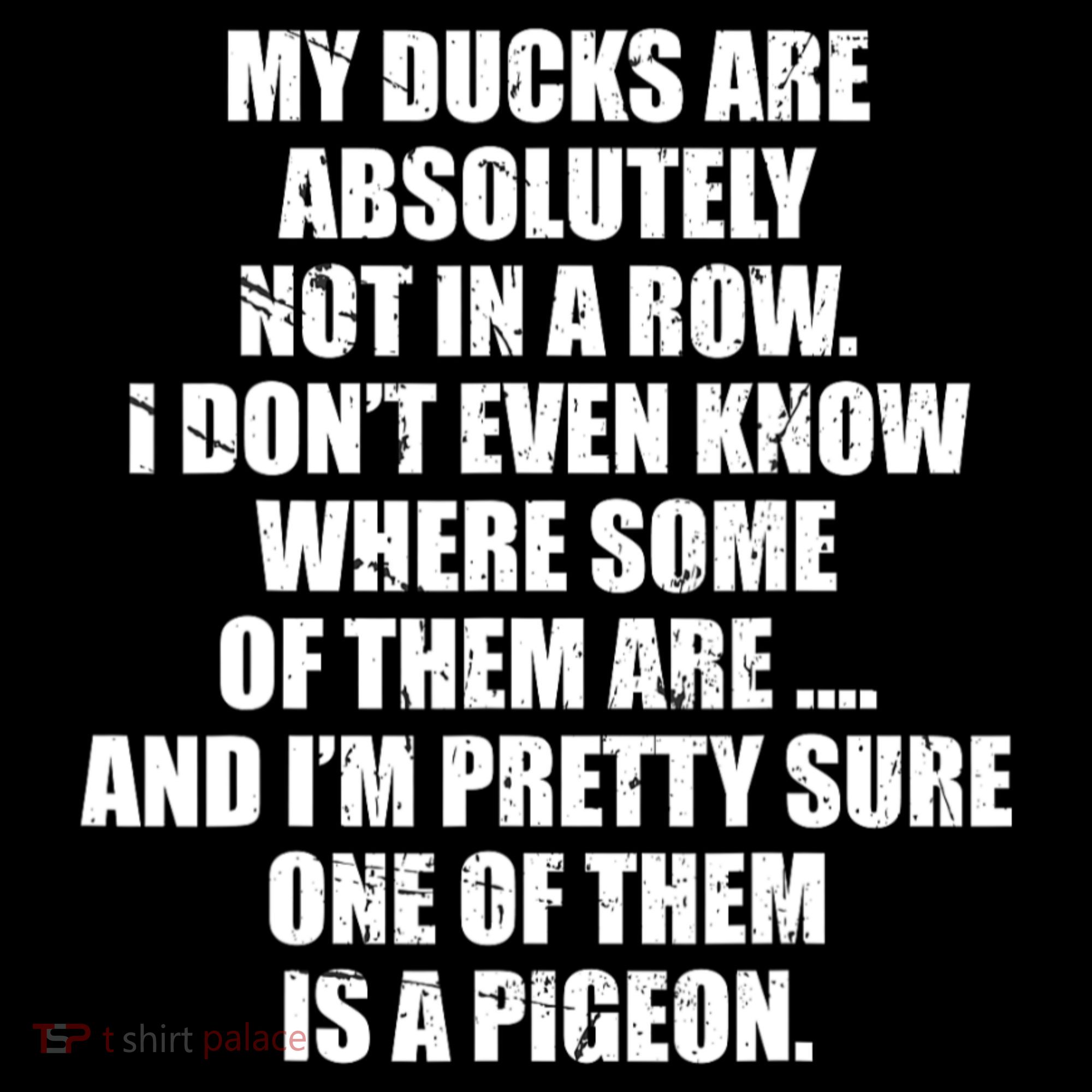 My Ducks Are Absolutely Not In A Row Pigeon Coaster