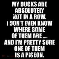 My Ducks Are Absolutely Not In A Row Pigeon Toddler Hoodie thumb 2