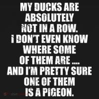 My Ducks Are Absolutely Not In A Row Pigeon Tote Bag thumb 4