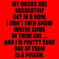 My Ducks Are Absolutely Not In A Row Pigeon Santa Hat thumb 1