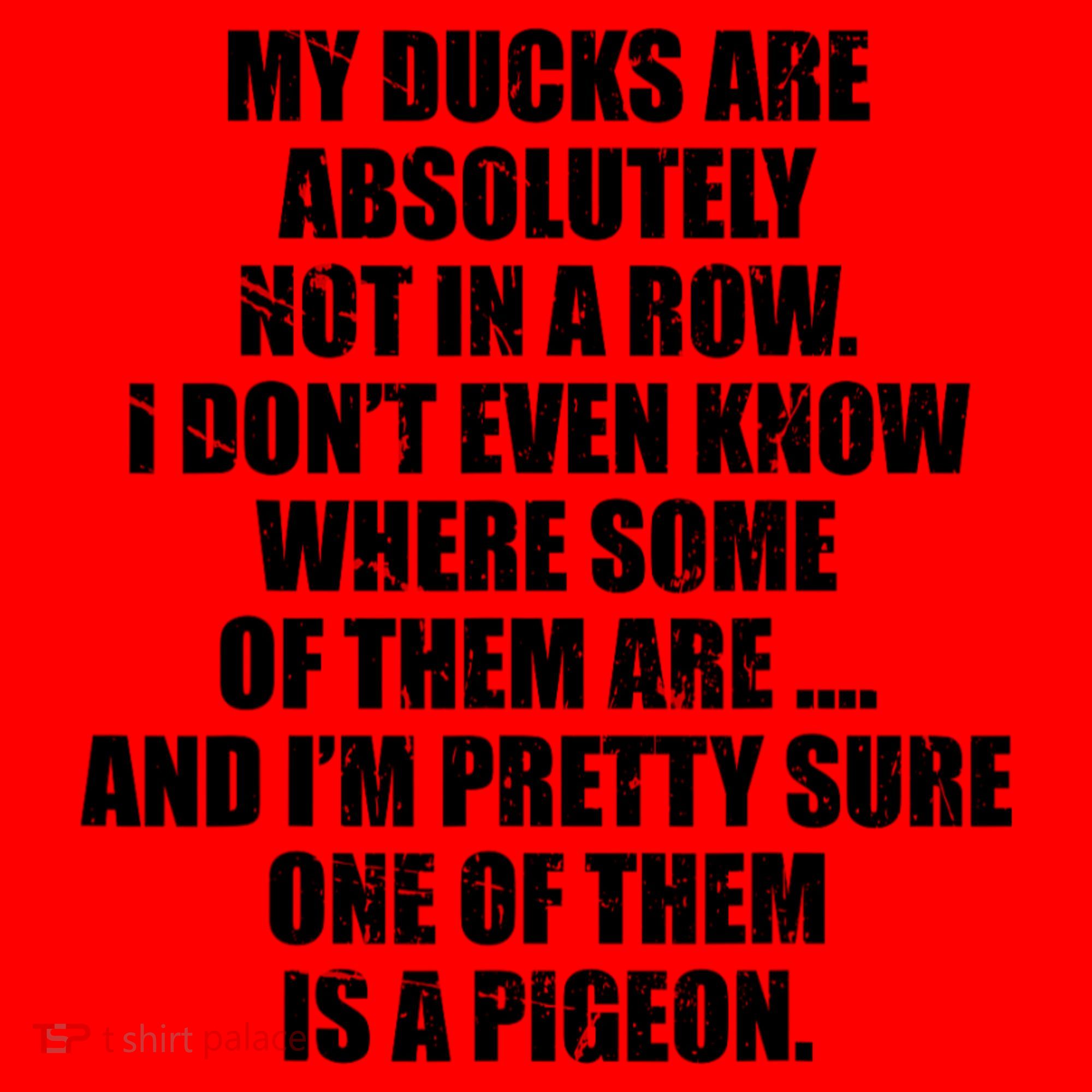 My Ducks Are Absolutely Not In A Row Pigeon Santa Hat
