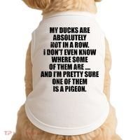 My Ducks Are Absolutely Not In A Row Pigeon Doggie Tank thumb 0