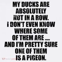 My Ducks Are Absolutely Not In A Row Pigeon Women's Tank Top thumb 5