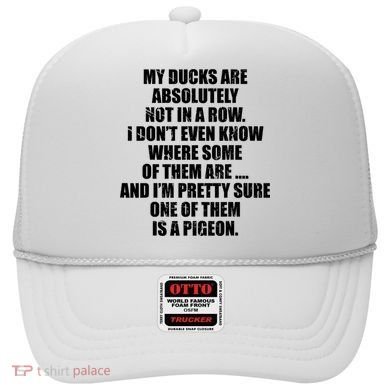My Ducks Are Absolutely Not In A Row Pigeon Hat