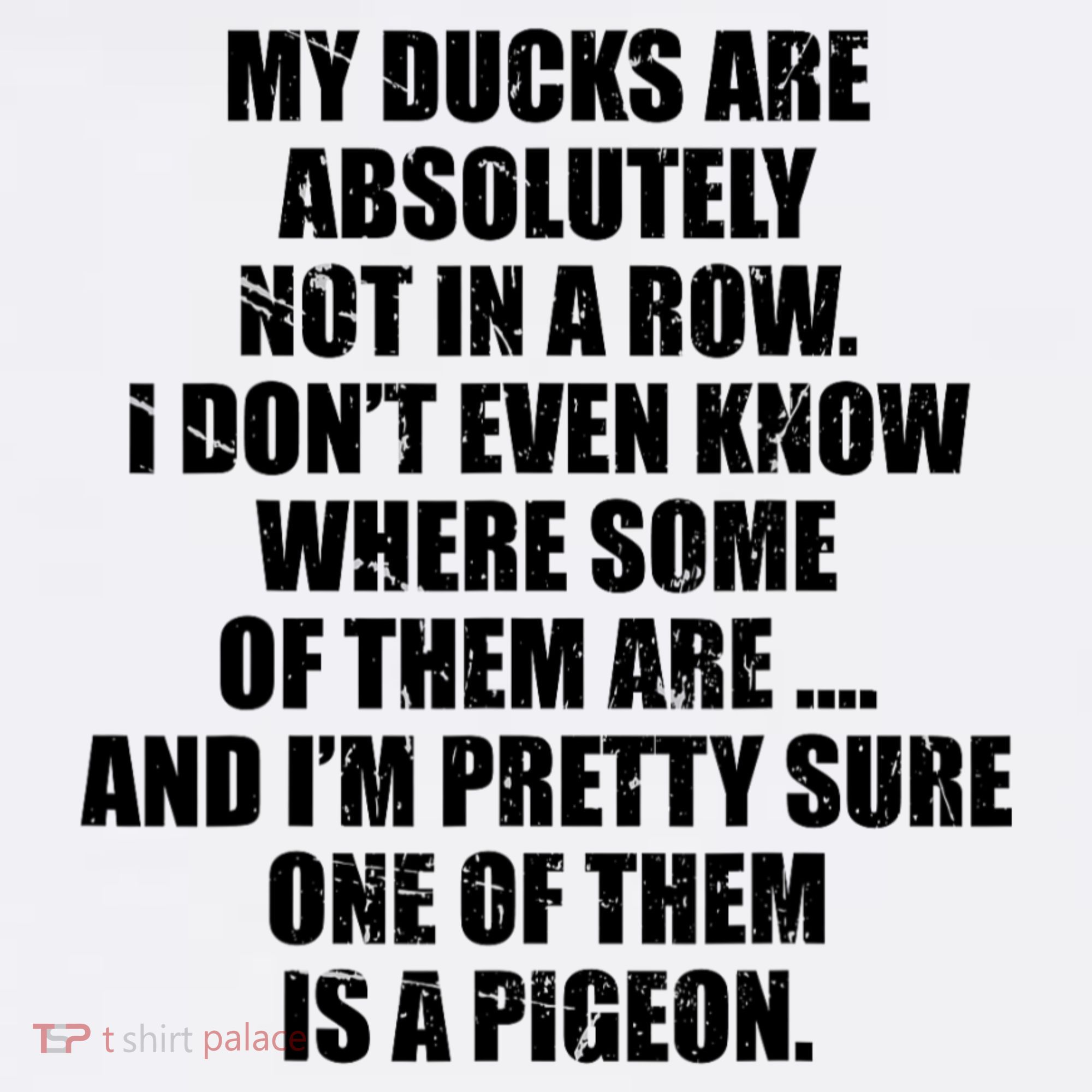 My Ducks Are Absolutely Not In A Row Pigeon Kids T-Shirt