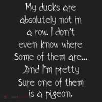 My Ducks Are Absolutely Not In A Row Pigeon Tumbler thumb 3