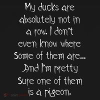 My Ducks Are Absolutely Not In A Row Pigeon Ornament thumb 1